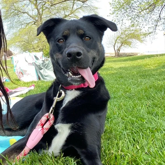 SHARE SHOW 6/20 11:45 EST!!! - Picture 6 of 8